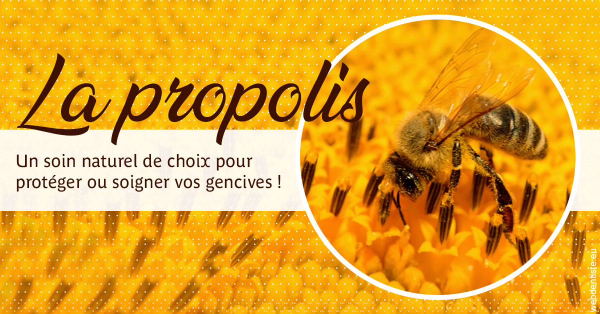 https://www.cabinetorthodontie.fr/La PROPOLIS