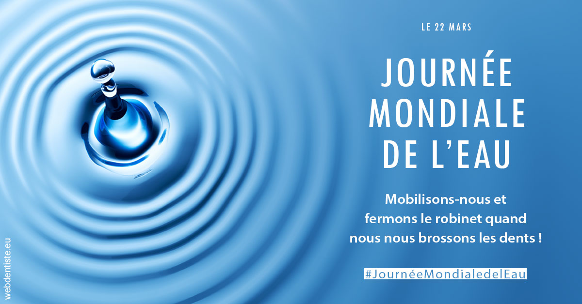 https://www.cabinetorthodontie.fr/Journée de l'eau 2023 1