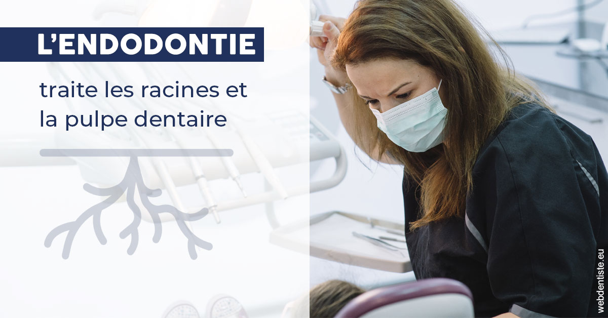 https://www.cabinetorthodontie.fr/L'endodontie 1