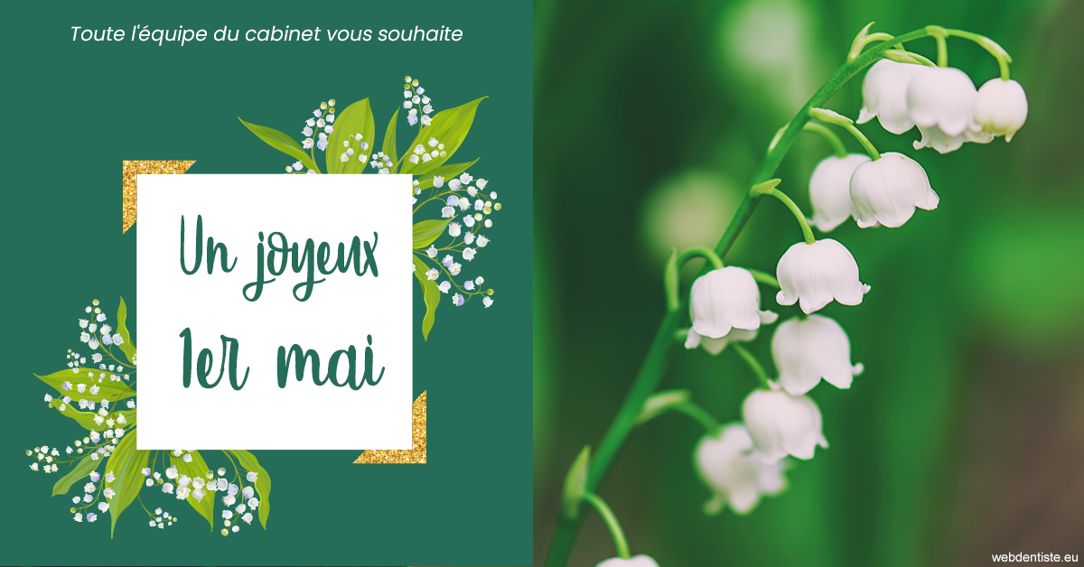 https://www.cabinetorthodontie.fr/T2 2023 - 1er mai 1