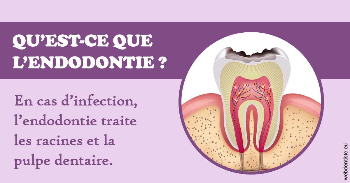 https://www.cabinetorthodontie.fr/2024 T1 - Endodontie 02