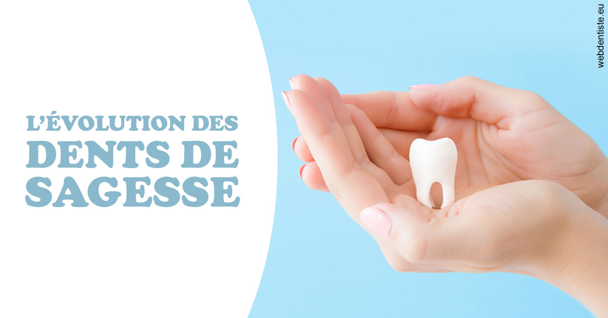 https://www.cabinetorthodontie.fr/Evolution dents de sagesse 1