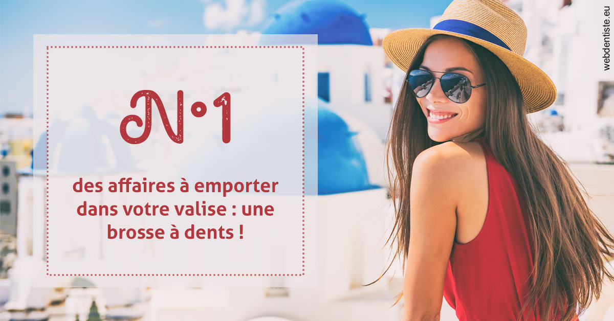 https://www.cabinetorthodontie.fr/Brosse à dents valise 1