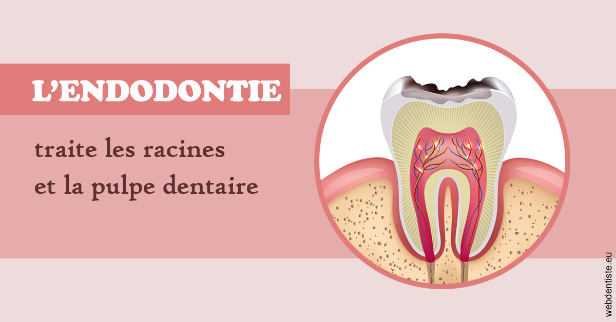 https://www.cabinetorthodontie.fr/L'endodontie 2