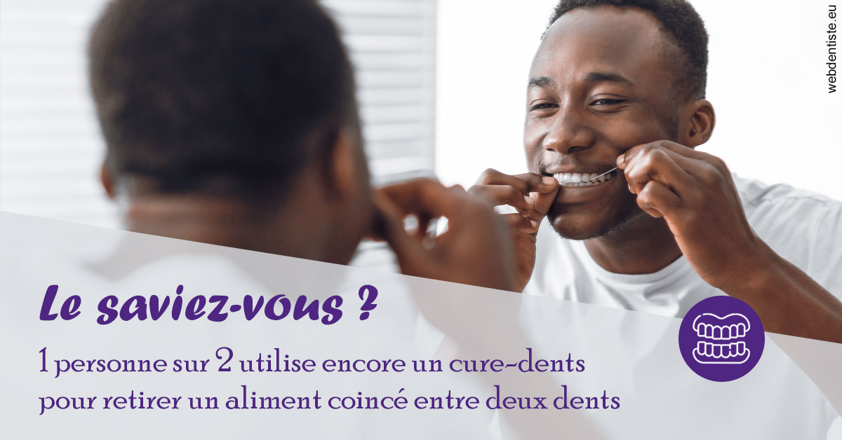 https://www.cabinetorthodontie.fr/Cure-dents 2
