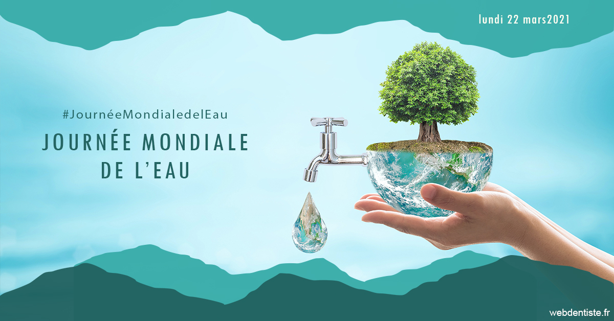 https://www.cabinetorthodontie.fr/Journée de l'eau 1