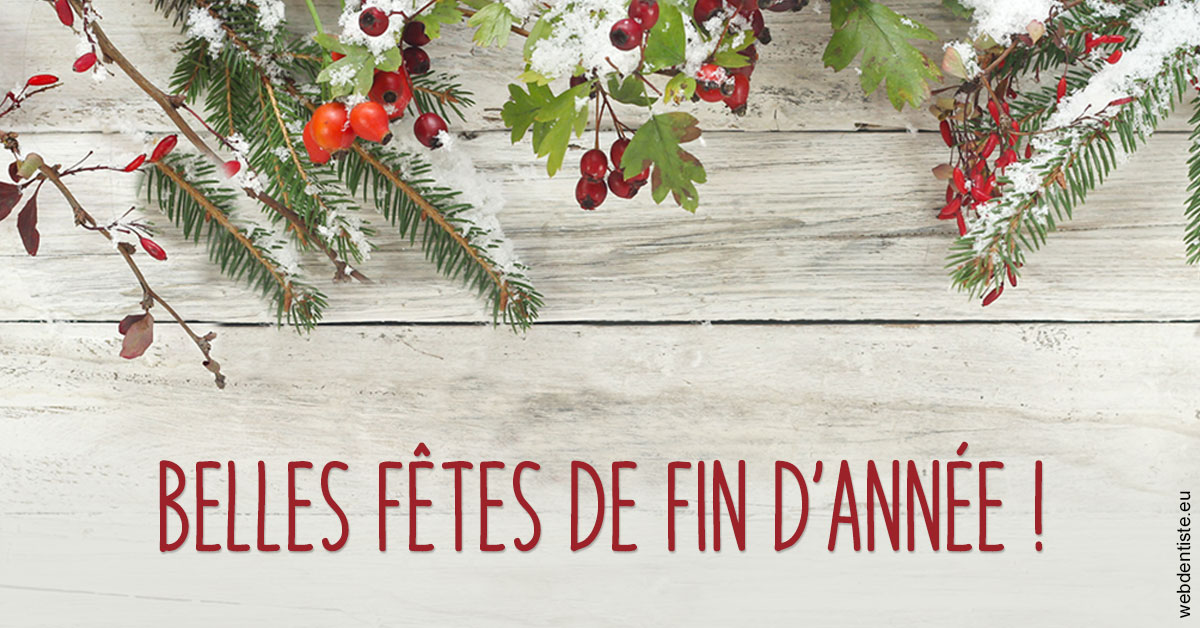 https://www.cabinetorthodontie.fr/Joyeux Noël 2