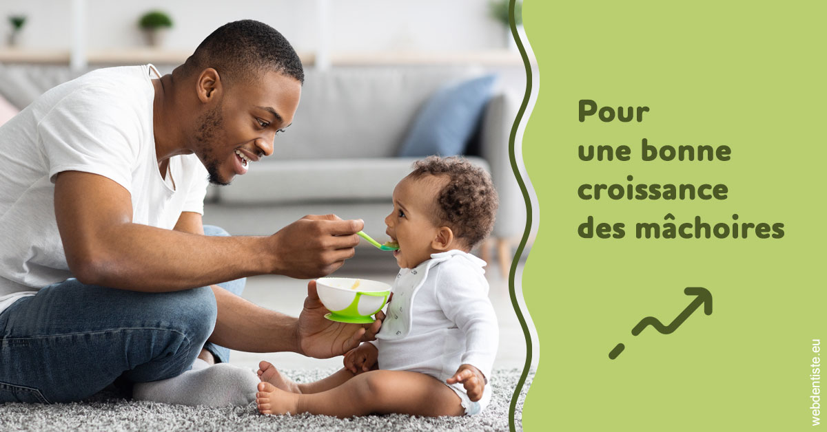 https://www.cabinetorthodontie.fr/Croissance des mâchoires 1