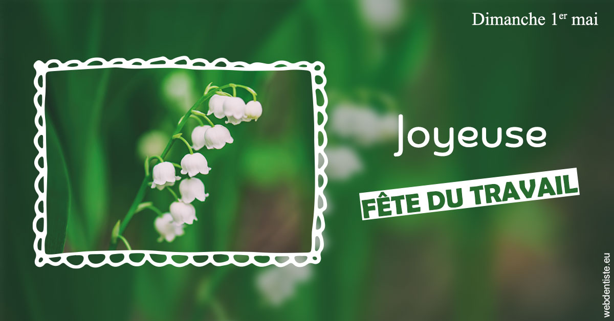 https://www.cabinetorthodontie.fr/Fête du travail 2