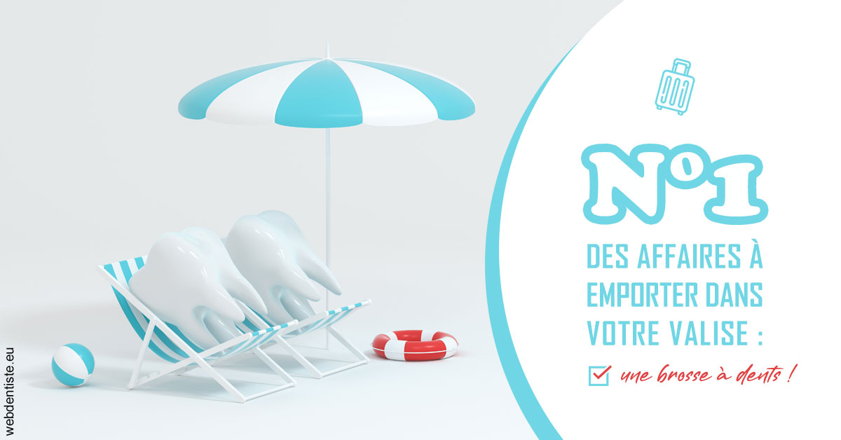 https://www.cabinetorthodontie.fr/Brosse à dents valise 2
