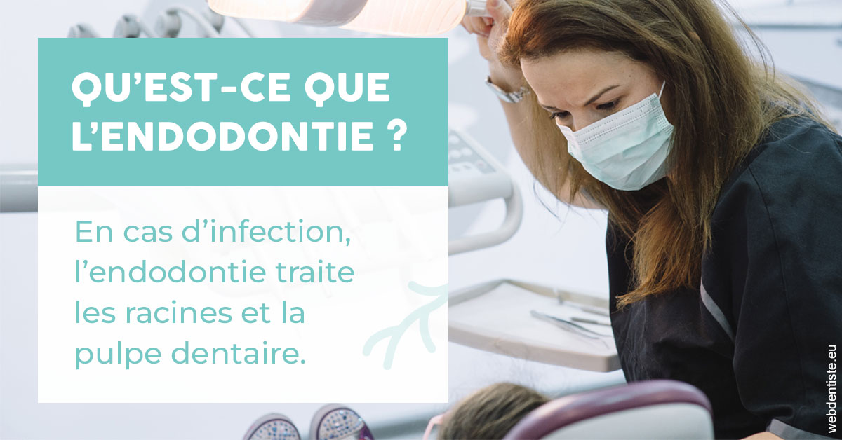https://www.cabinetorthodontie.fr/2024 T1 - Endodontie 01