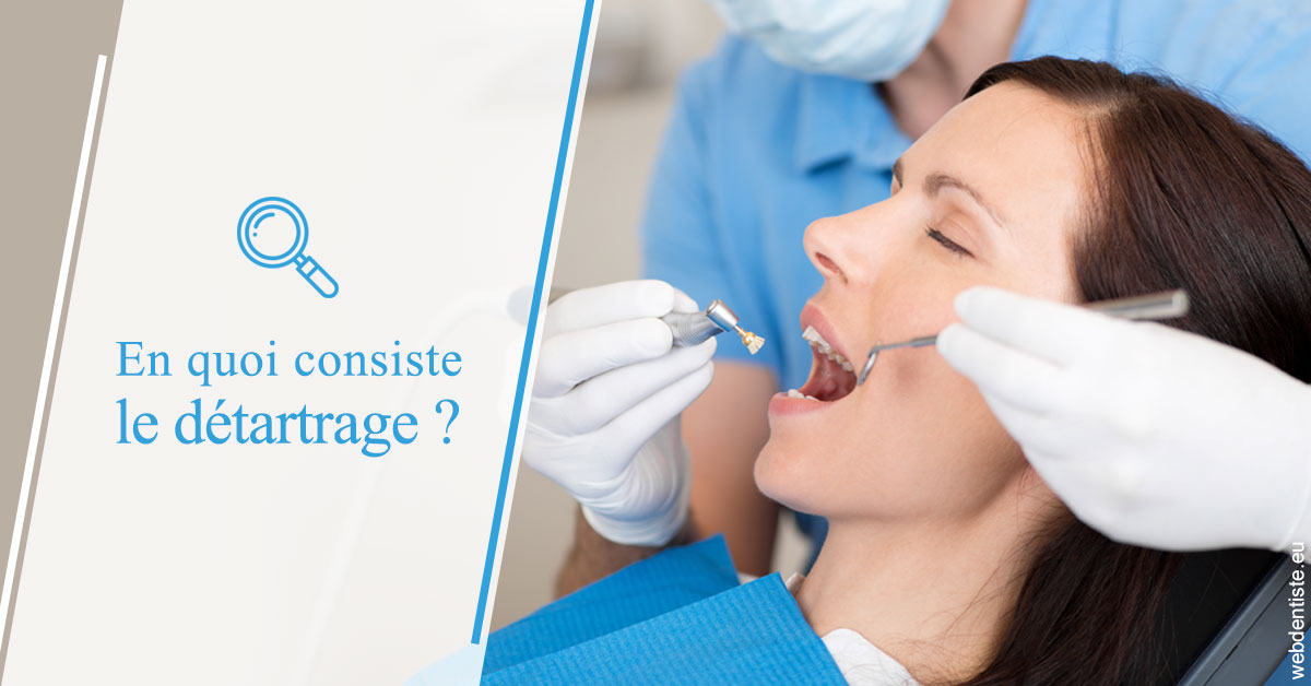 https://www.cabinetorthodontie.fr/En quoi consiste le détartrage