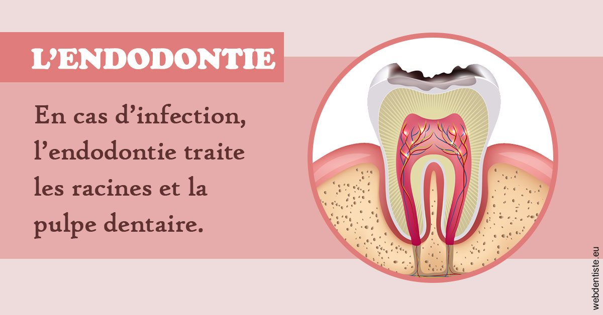 https://www.cabinetorthodontie.fr/L'endodontie 2